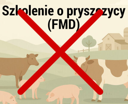 Komunikat dotyczący zapowiedzianego szkolenia nt. pryszczycy (FMD)